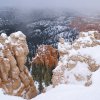 Bryce canyon 19